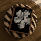 Tropical Bloom - Black and White Wall Art | Floral Art Print | Instant Printable Download or Physical Print