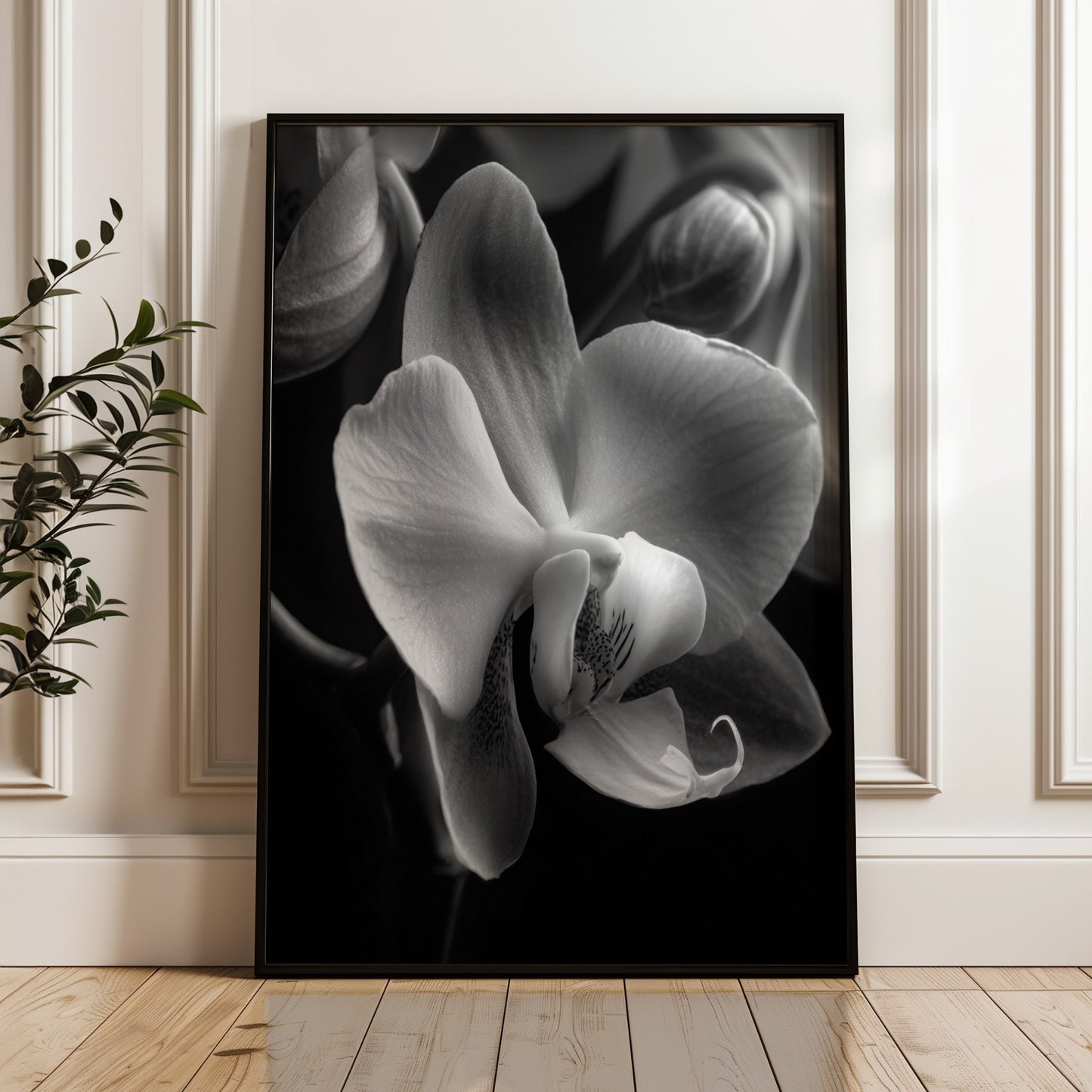 Delicate Orchid Part One - Black and White Poster Print | Monochrome Wall Art | Digital Download or Physical Print
