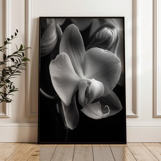 Delicate Orchid Part One - Black and White Poster Print | Monochrome Wall Art | Digital Download or Physical Print